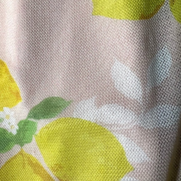 SEE YOU MONDAY Lemon Print Mesh Maxi Dress Size XS - Picture 7 of 9